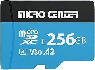 INLAND 256GB microSDXC Card - Best Drone for Beginners 4K UHD