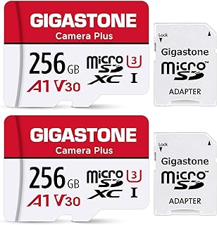 GIGASTONE 256GB Micro SD Cards for Drones with Camera, 2-Pack