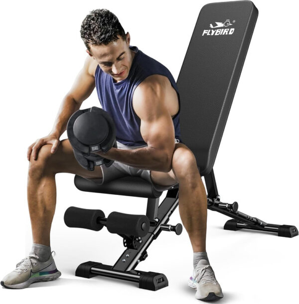 FLYBIRD Adjustable Weight Bench Foldable Home Gym Bench